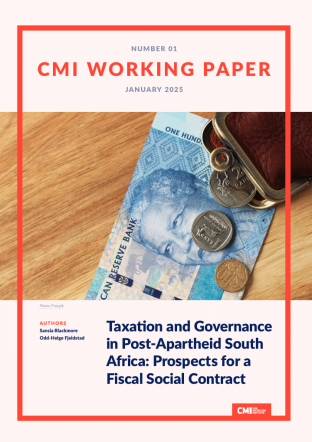 CMI working paper 1